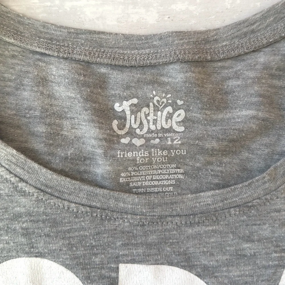 Girls Size 12 Justice Brand Short Sleeve Top Secret Life of Pets Gray Shirt